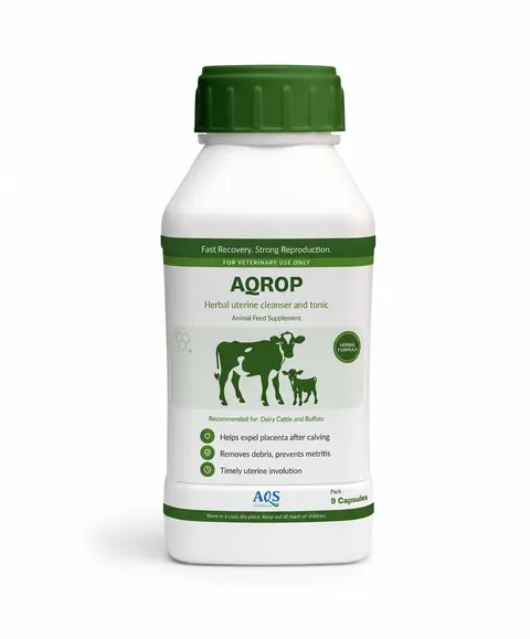 AQROP pack, an example of capsules