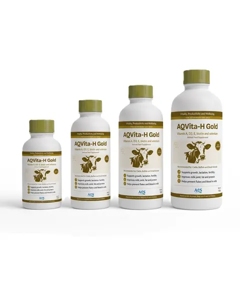AQVita-H Gold pack